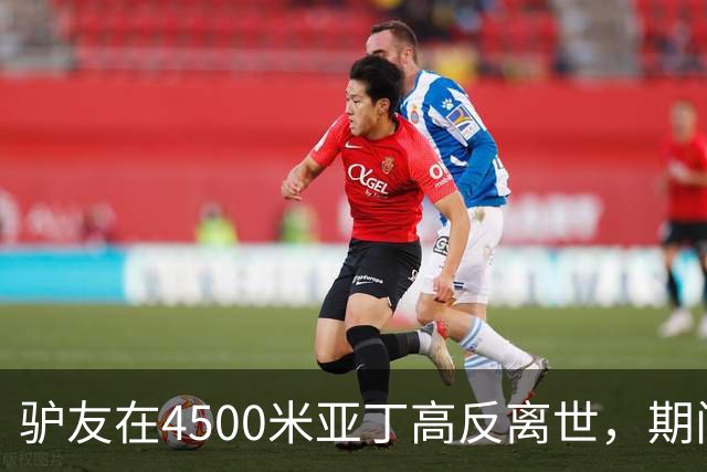 驴友在4500米亚丁高反离世,期间姐姐全网求免费直升机,牧民报价1万被她拉黑
